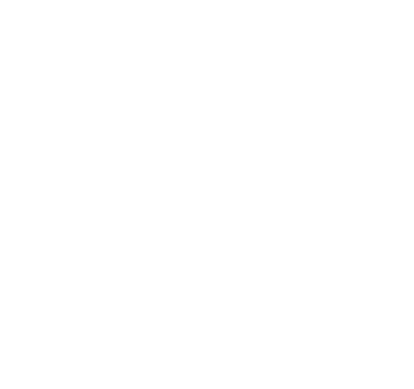 ACi Travels